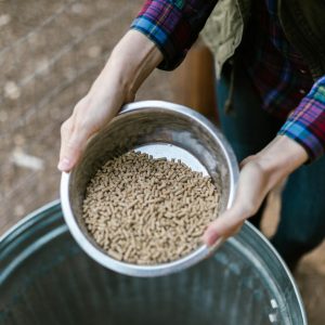 Layer Hen Feed Pellets