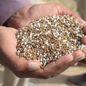 Mixed Grain Poultry Feed