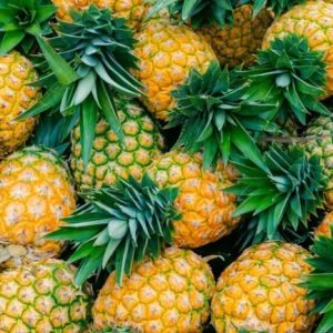 Fresh Pineapples