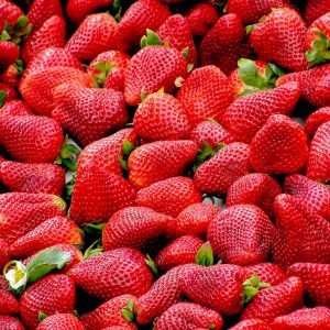 Fresh Strawberries